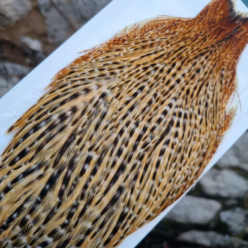 Whiting Hebert Miner Hen Cape in Barred Dark Ginger-2